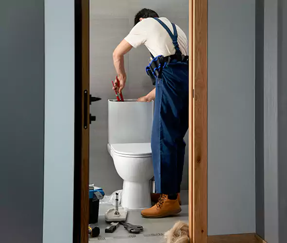 Professional Plumbers for Toilet Bowl Replacement in Boston, MA: Schedule Affordable Toilet Replacement Services With Us