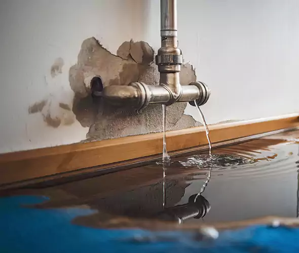 Professional Water Damage Restoration Experts in Boston, MA — Fast, Reliable & Certified
