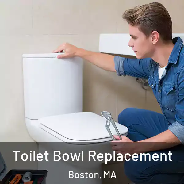  Toilet Bowl Replacement Boston, MA