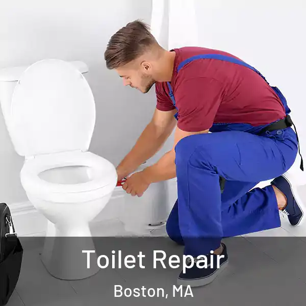  Toilet Repair Boston, MA
