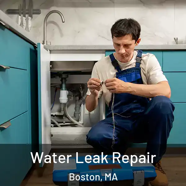  Water Leak Repair Boston, MA